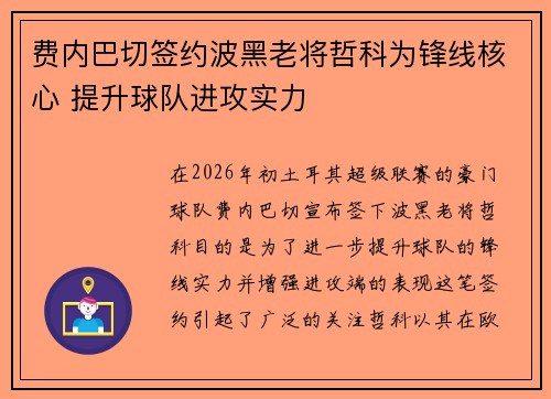 费内巴切签约波黑老将哲科为锋线核心 提升球队进攻实力