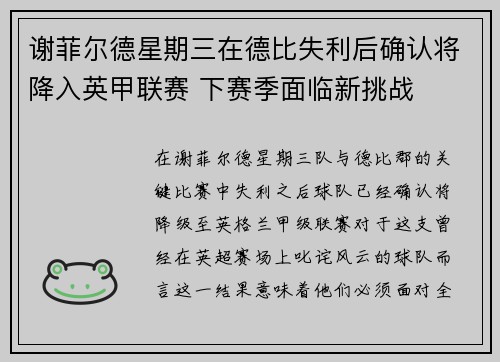 谢菲尔德星期三在德比失利后确认将降入英甲联赛 下赛季面临新挑战